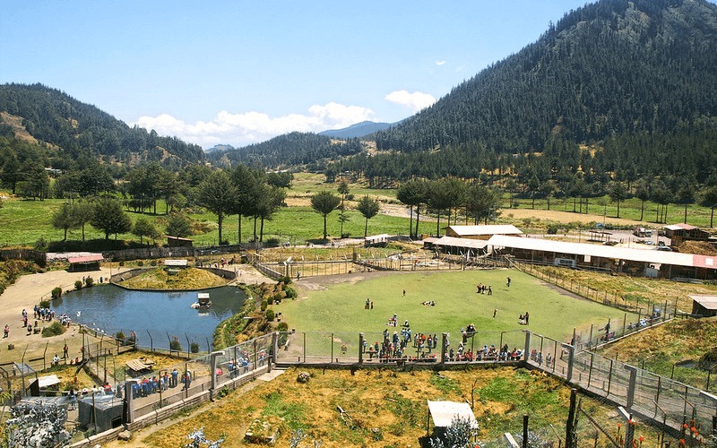 Granja Porcon