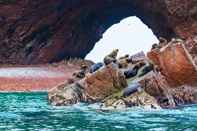 Isla Ballestas