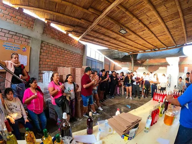 bodega Racimo de Uva