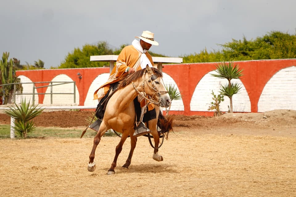 Trujillo Casa Campo ALCOR
