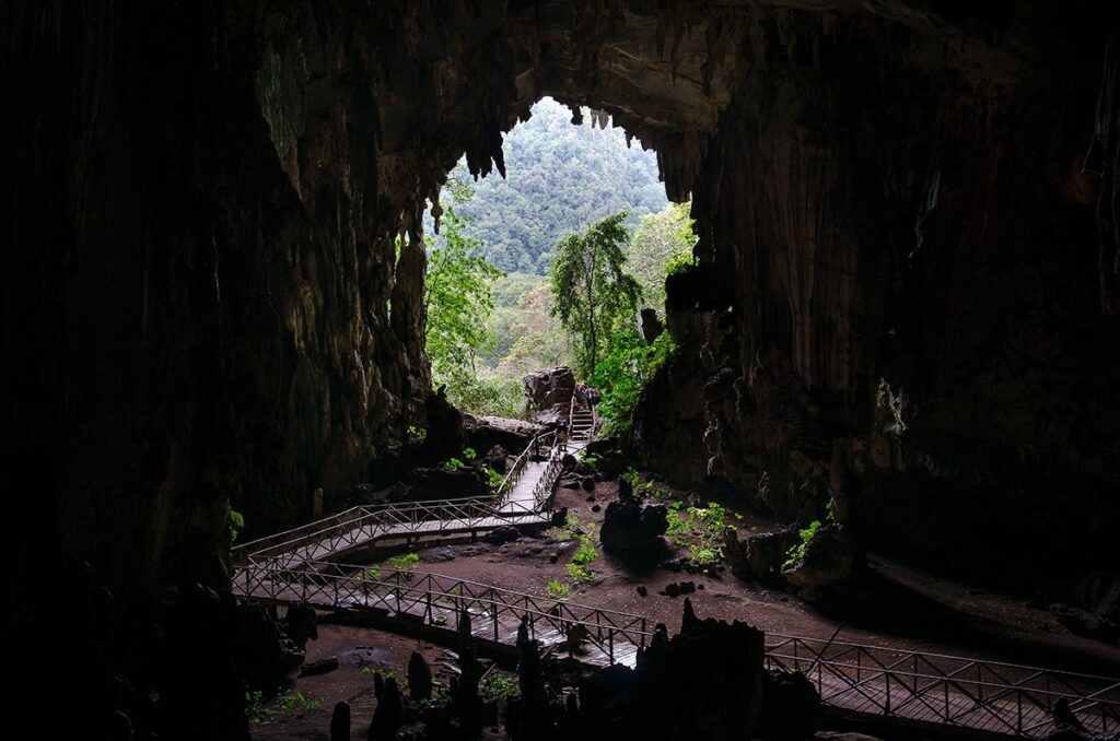 Cueva De Lechuzas Y Pavas