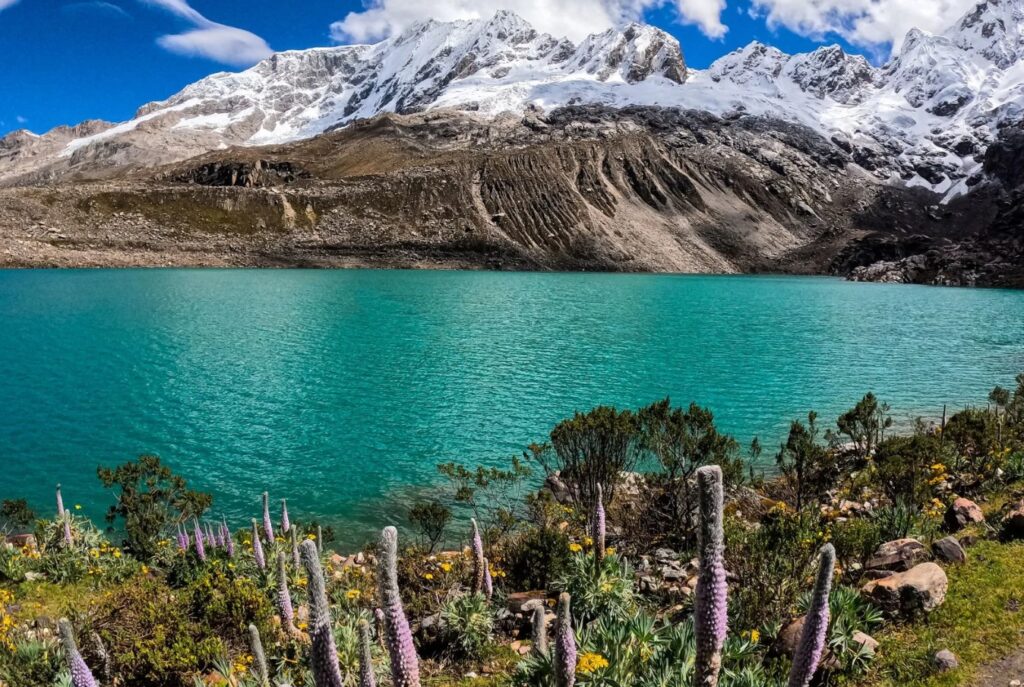Laguna Rocotuyoc Panoramica