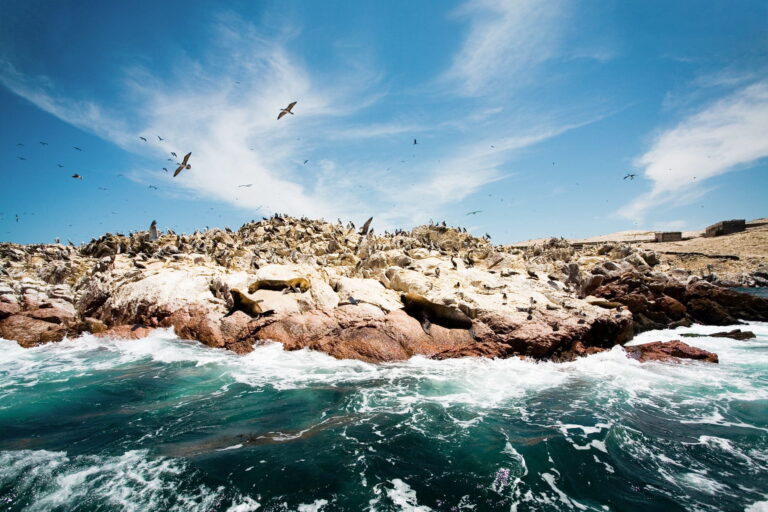 Reserva de Paracas